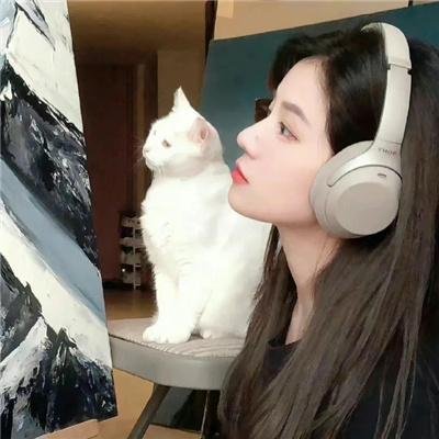 兔年 在线观看