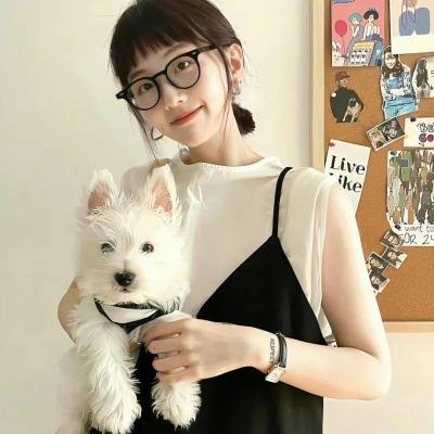 江之岛棱镜 在线观看